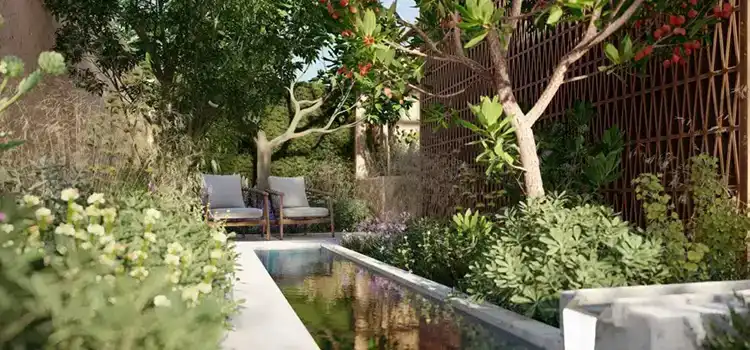 Contemporary Garden