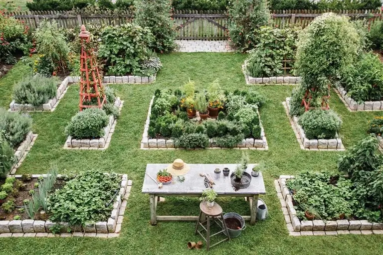 Kitchen Garden Design