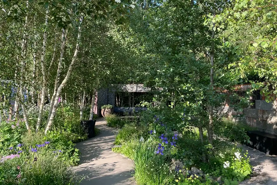 Muscular Dystrophy UK – Forest Bathing Garden at RHS Chelsea Flower Show 2024