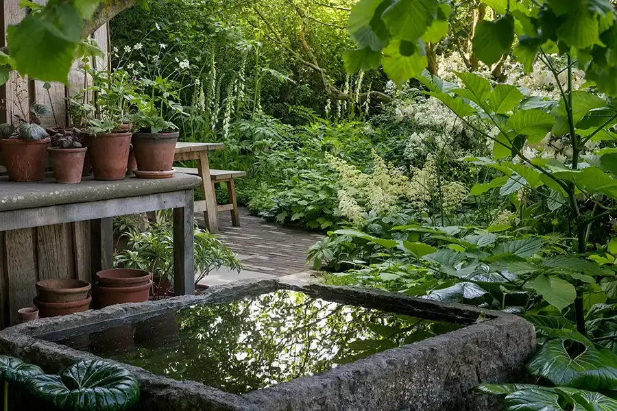 The National Garden Scheme Garden at RHS Chelsea Flower Show 2024