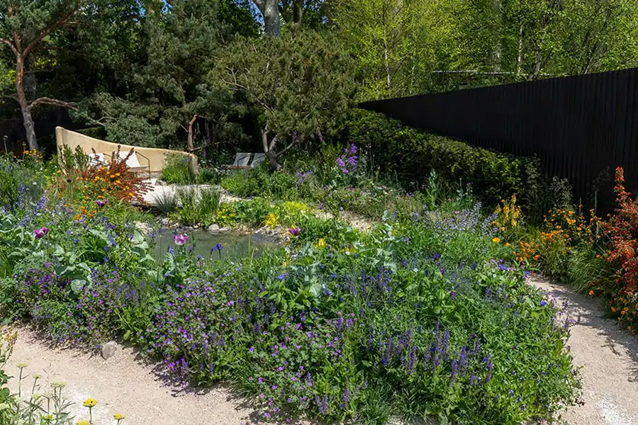 Stroke Association's Garden for Recovery at RHS Chelsea Flower Show 2024