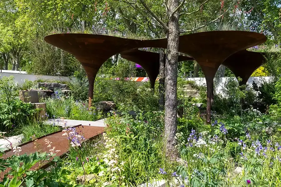 The WaterAid Garden at RHS Chelsea Flower Show 2024