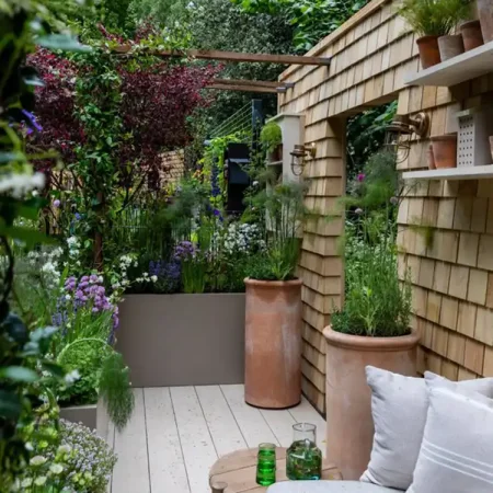 Chelsea Flower Show Small Garden